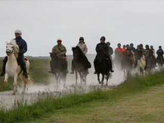 en gruppe mennesker rir på islandshester