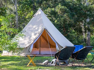 Glamping telt og stoler plassert i en skog